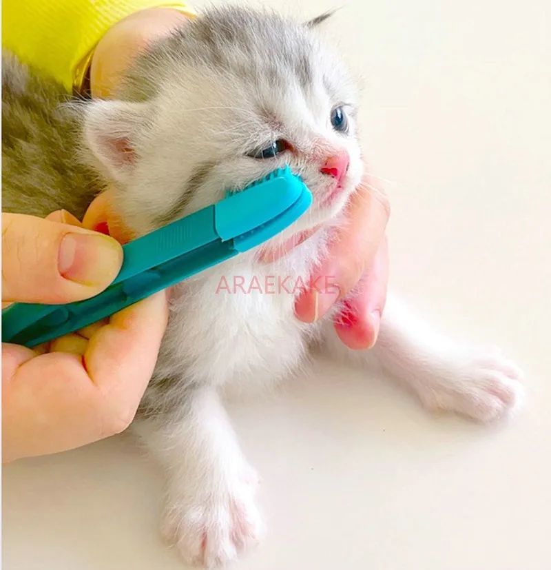 Multi functional cleaning brush for pets, eye droppings clip for dogs, cats, brushing teeth, cleaning teeth, and removing black