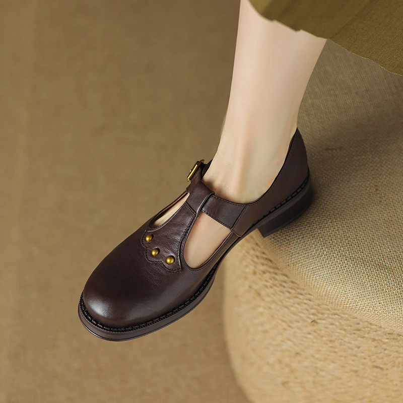 

Heihaian Mary Jane Shoes 2023 Fall New Retro Style Commuter Shoes Good With Leather Round Toe Chunky Heels For Women 33-42