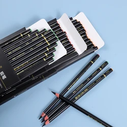 Professional Charcoal Drawing and Sketching Pencil Set - Pack of 12 - SOFT