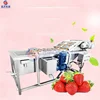 Large-scale Vegetable and Herb Cleaning Equipment Blueberry Plum Strawberry Bubble Cleaning Machine 1
