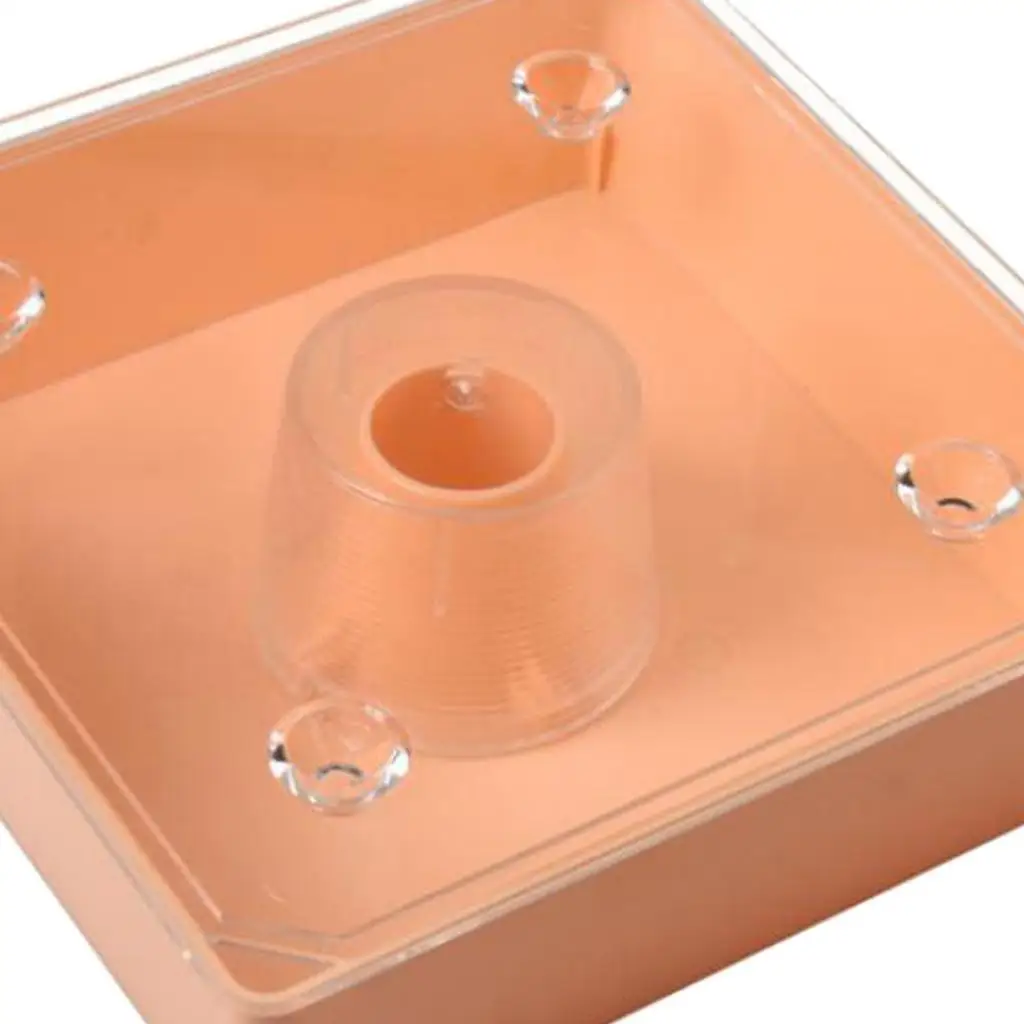 Square 2 litres beehive top feeder bee water feeder pre-assembled durable