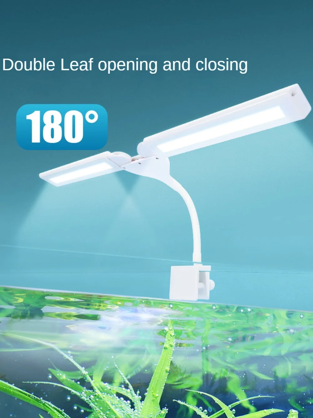 ̽  LED Ʈ Ŭ û, ȭƮ, , , Ǯ Ʈ,  ̴  ,  ġ
