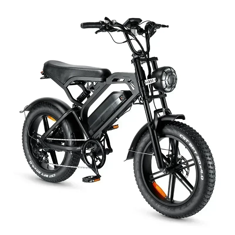 Ebike V20 1000W 48V20AH Back Seat Fat Tire Electric Bike Beach Cruiser Off-Road Adult Mountain