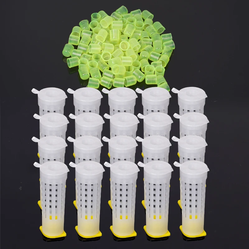 Beekeeping Tool Set Queen Bee Cage Cages King Queen Catcher Box Bee Cell Cups 20 Set Complete Kit Isolation Protection Tools beekeeping tools beekeeping accessories