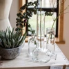 Small Transparent Flower Vase Mini Glass Vase Hydroponic Plant Bud Vase Nordic Home Decor Living Room Table Terrarium Decoration 6