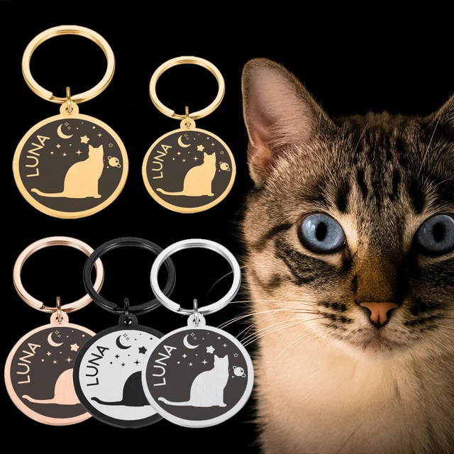 Cat keyrings / Domestic house cat charms. Kitten collar charms