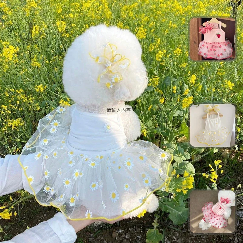 Pet Princess Dress Summer Spring Cat Fashion Gonna In Filato Cane Di Piccola Taglia Cute Designer Vest Puppy Sweet Clothes Chihuahua Barboncino Yorkie