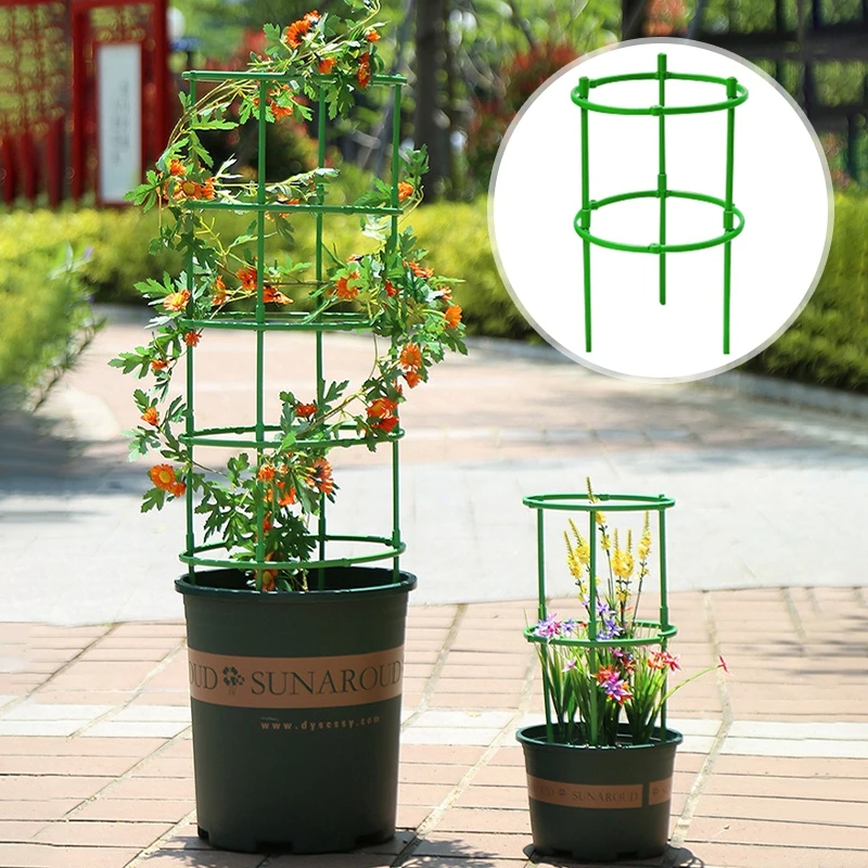 Climbing Plant Support Stakes 3