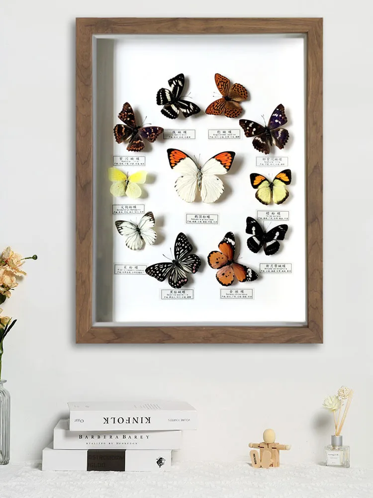 

16 Inch New Real Butterfly Specimen Picture Frame Insect Craft Decoration Pendant Wall Painting Science Popularization Teaching