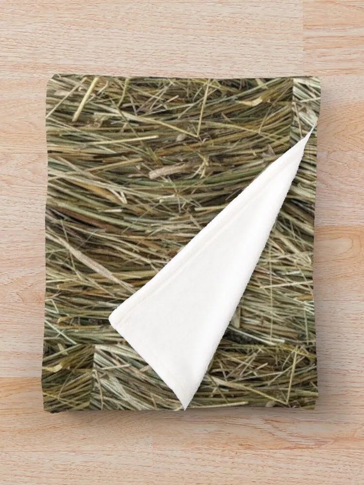 ���� ���ʸ� �ڸ��� ���ĸ� ���� ���� ǫ���� ���, ���� ���� ���