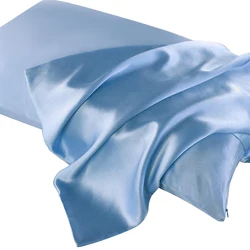 Luxurious Double - Sided Pure Silk Pillowcase with Hidden Zipper - Premium Mulberry Silk for Healthy Skin and Restful Sleep (Blue)
