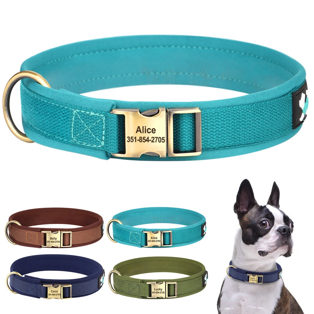 Collare Per Cani In Nylon Personalizzato Collari Con Fibbia Per Animali Domestici Incisi Personalizzati Collari Per Cani Imbottiti Morbidi Per Cani Di