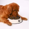 Stainless steel large capacity pet bowl dog food bowl multiple specifications anti-fall food bowl food bowl feeding pet supplies 4