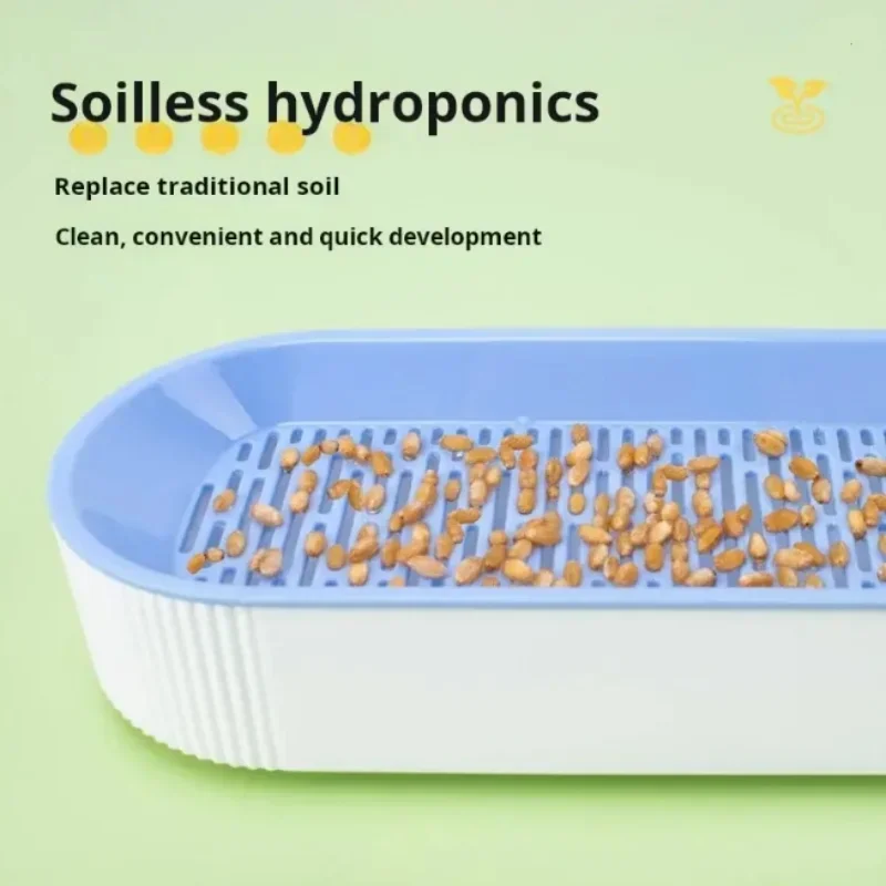 Hydroponic Cat Grass Box Set Soilless Planting Catnip Treats Easy Growth