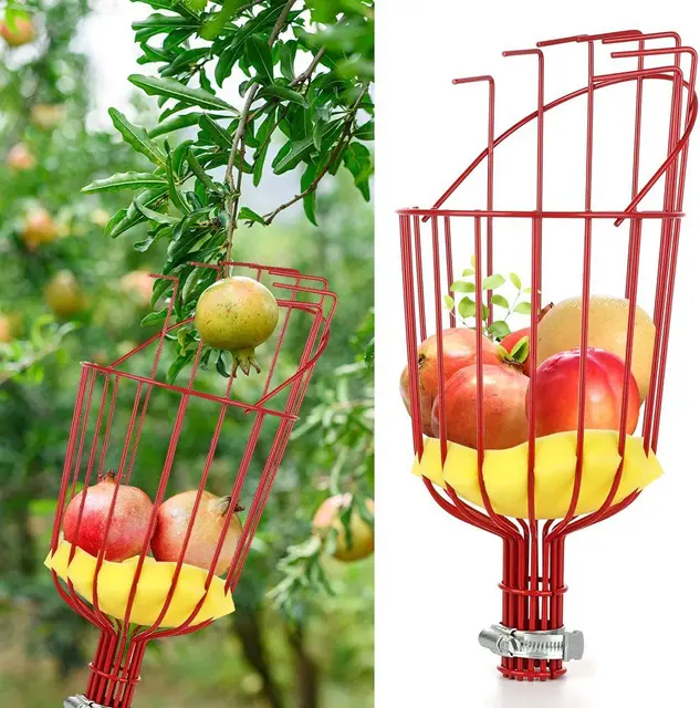 ruit Picker Pole Tool with Basket Long Handle Fruit Picking Artifact Fruit Tree Picker Apple Orange Picker Pole Tool with Basket 5
