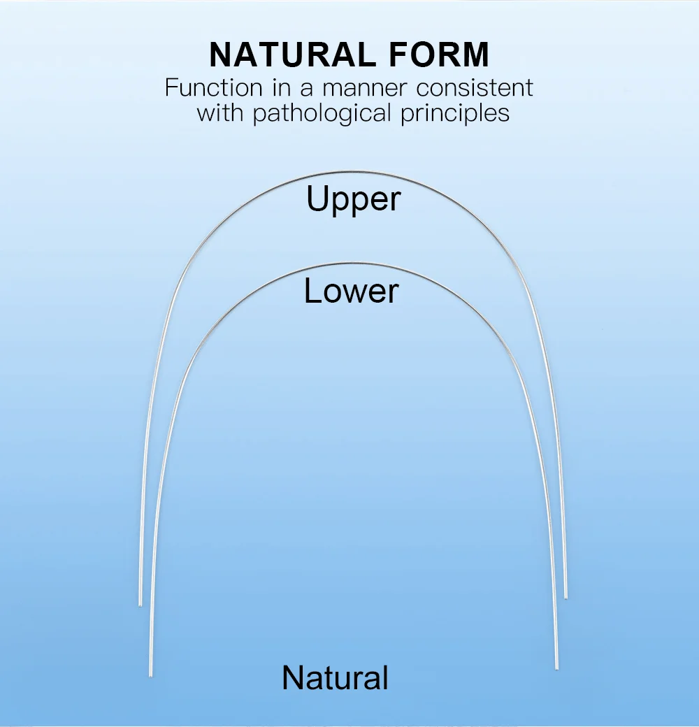 Arco Niti Dtc Redondo 016 Infer X 10 Un. | Dtc Orthodontics - Foto 5