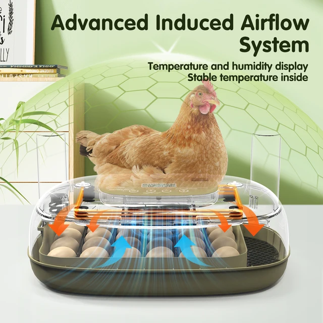 24 Egg Incubator with Automatic Turning, Temperature and Humidity Control, LED Egg Candler, and Auto Water Addition, for Hatchin