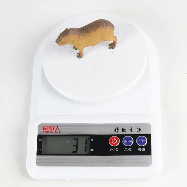 Capybara Figuren Spielzeug Wissenschaft Lernspielzeug für Desktop Ornament