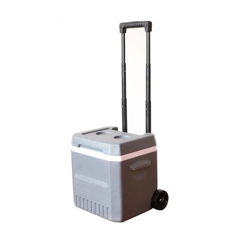 

New 18L Camping With Wheels Insulated Box Car Fresh Box Portable Trolley Cooler Outdoor Plastic Refrigerator