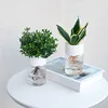 Small Hydroponic Green Plant Vase Home Vase Decor Transparent Imitation Glass Soilless Plant Pots Pot for Home Decoration 3