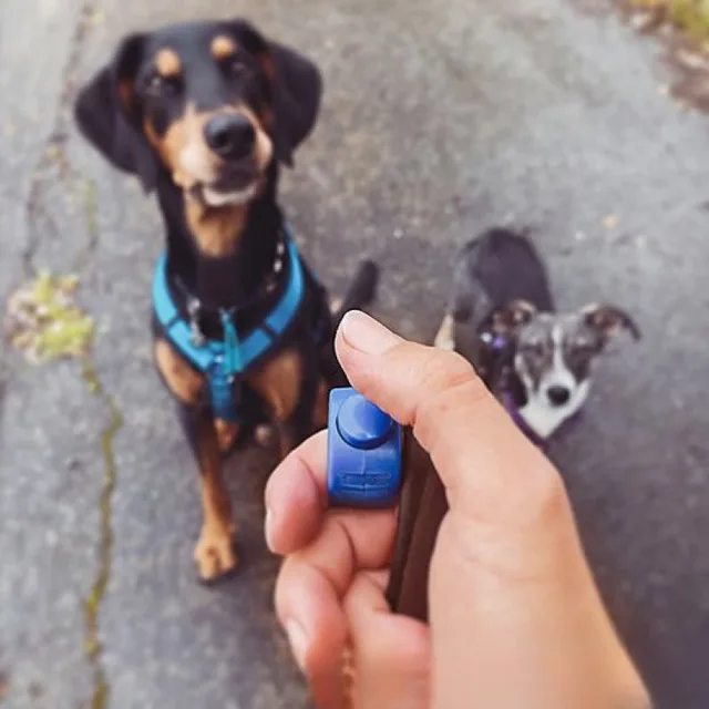 Universal Pet Training Ring 5