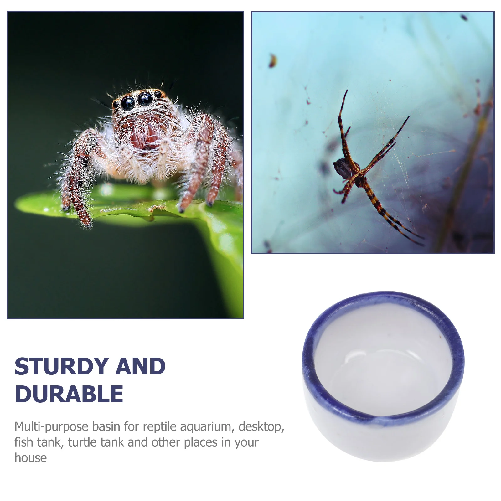 Reptile Water Sink 12 Pcs Basin Small Terrarium Jumping Spider Enclosure Tarantula Fence Millipede Ceramics Mini
