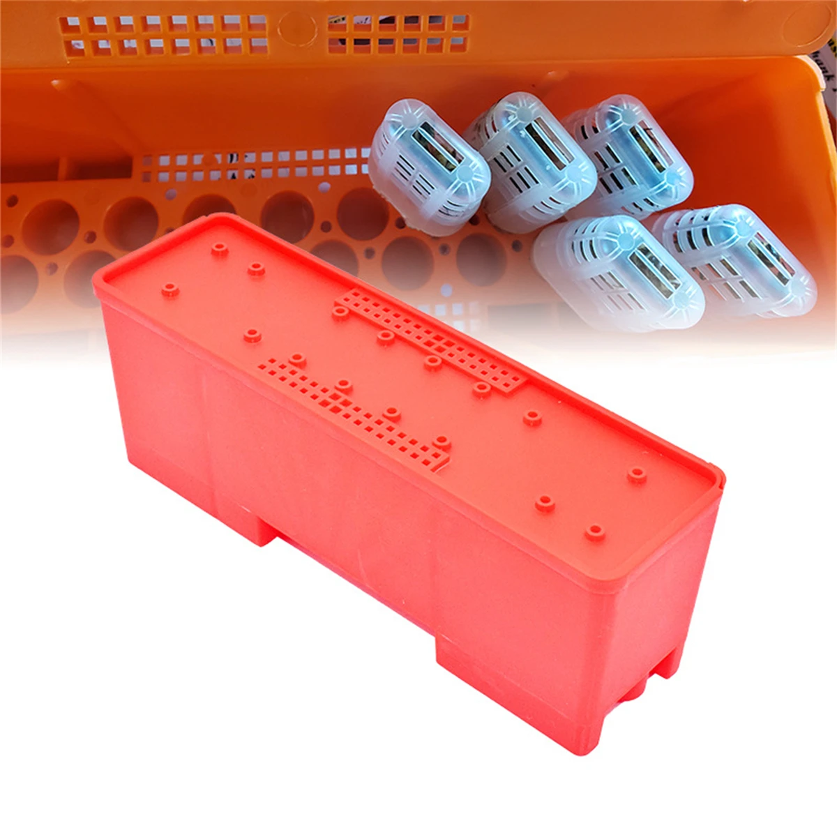 Queen Bee Transport Box Kit 20Pcs White Queen Bee Cages Red Large Transport Box Rearing Incubator Moving Isolator