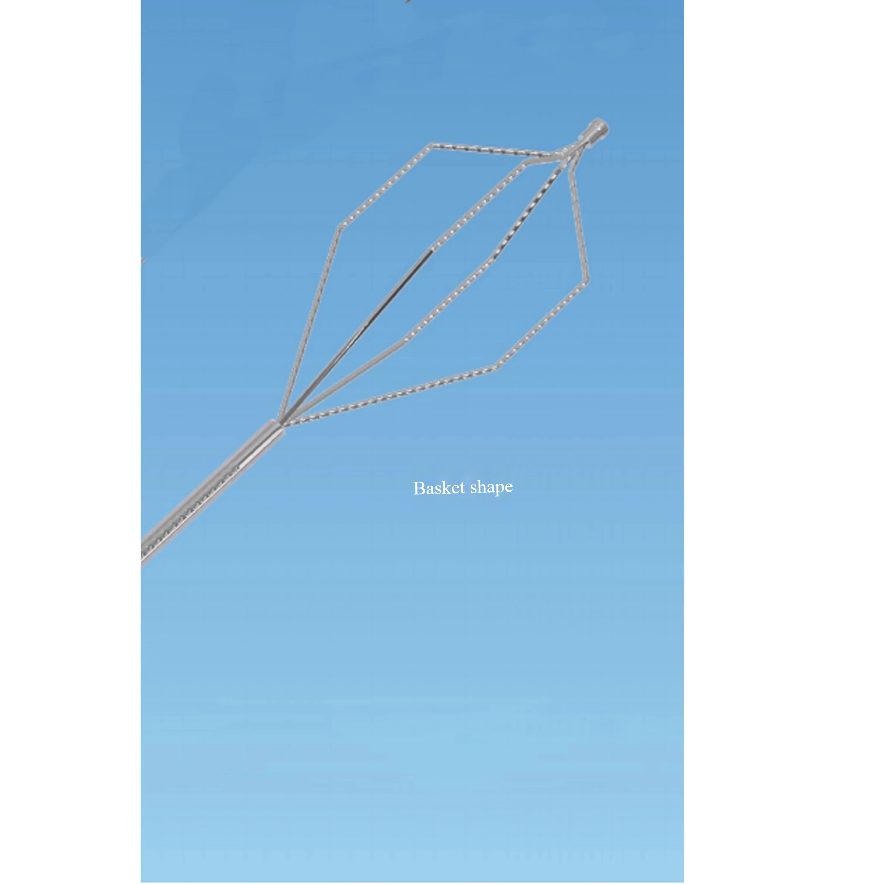 Foreign body forceps basket detail