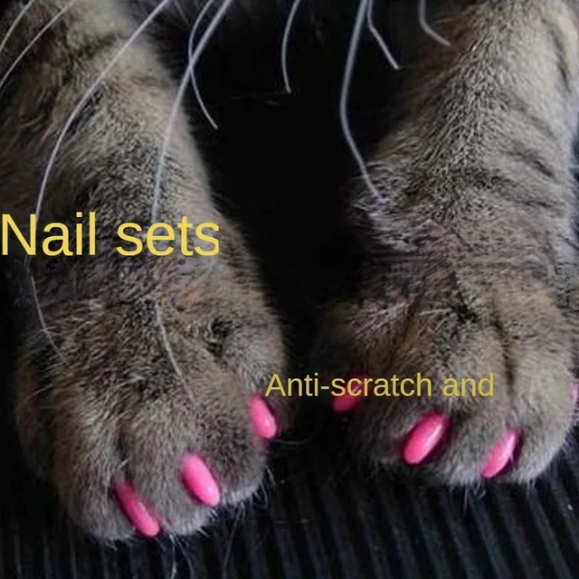Pet Nail Cover Anti Scratch Cover Suitable For Dogs Cats Nail Covers Cat Dog Paw Covers Anti Cat Scratch Cat Accessories Pet Nail Cover Anti Scratch Cover Suitable For Dogs Cats Nail Covers Cat Dog Paw Covers Anti Cat Scratch Cat Accessories