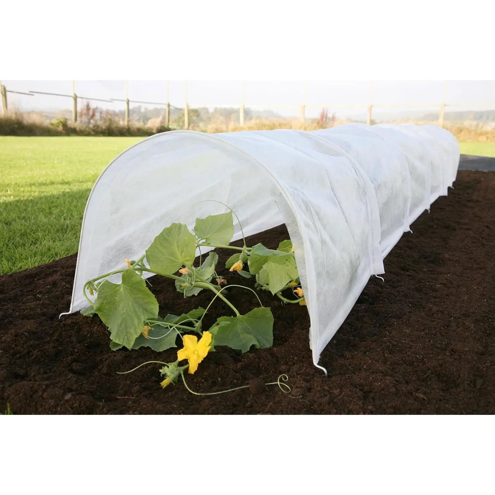 Mini drivhustunnel hageklokke tunneldeksel allsidig drivhus bøyle plantedeksel for hagearbeid frukt utendørs blomster Mini Greenhouse Tunnel Garden Cloche Tunnel Cover Versatile Green Houses Hoop Plant Cover for Gardening Fruit Outside Flowers