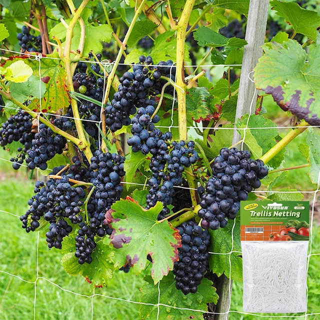 Garden Climbing Net Trellis Netting Heavy-Duty Plant Support Stand for Flowers Vegetable Vine Orchard Gardening Tools 5