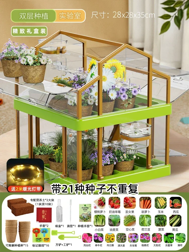 منزل زراعة أشعة الشمس للأطفال تجربة علمية صندوق مر...