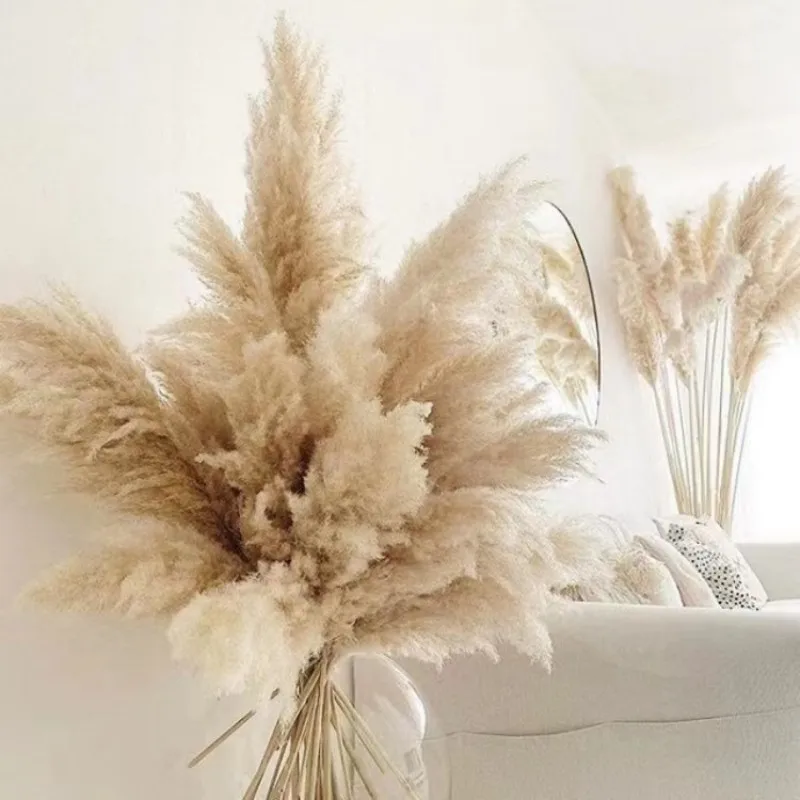 

6PCS Large Size Natural Pampas Grass Dried Flower Bouquet Home Decor Tall Fluffy Stems Living Room Decor Wedding Backdrop