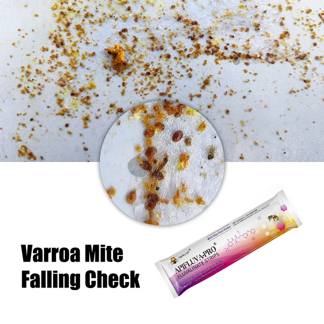 Apifluva-Pro 80Pcs Erőteljes Varroa Atkák Kezelés Fluvalinate Strip-Rezisztens Méhkatka Gyilkos-Kaptárkezelés A Méhészethez - Image 3
