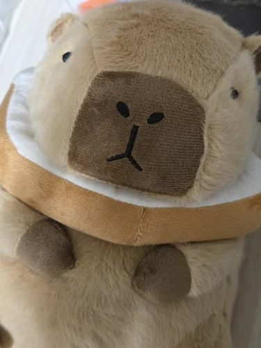 Kawaii Capybara Plushies - Bread & Flower Edition photo review