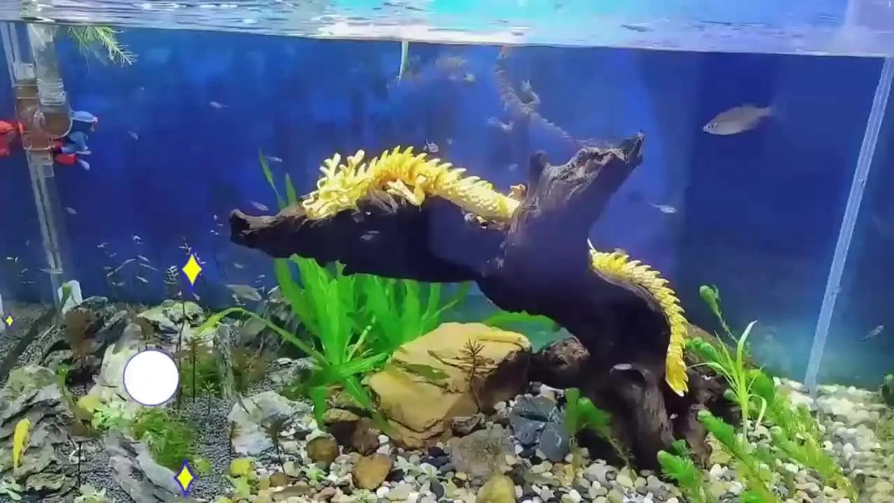 水族館 ロッカリー ストーン 水生オーナメント 魚飼育 水槽 造園