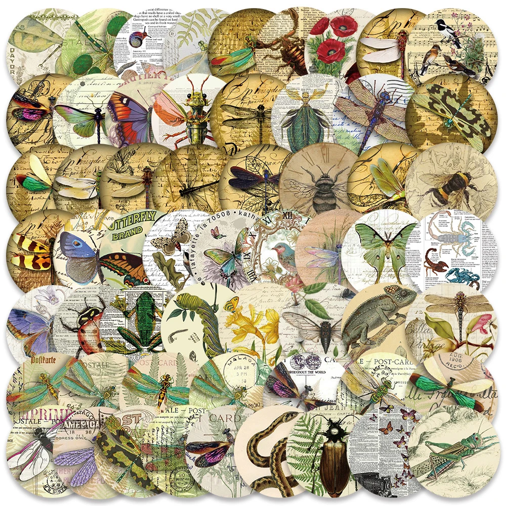 10/30/58pcs Vintage Insects Stickers Aesthetic Retro Animal Specimen Decals DIY Laptop Album Stationery Kids Education Sticker 25 pieces prepared microscope glass slides animal plant biological specimen for student biological science education studying