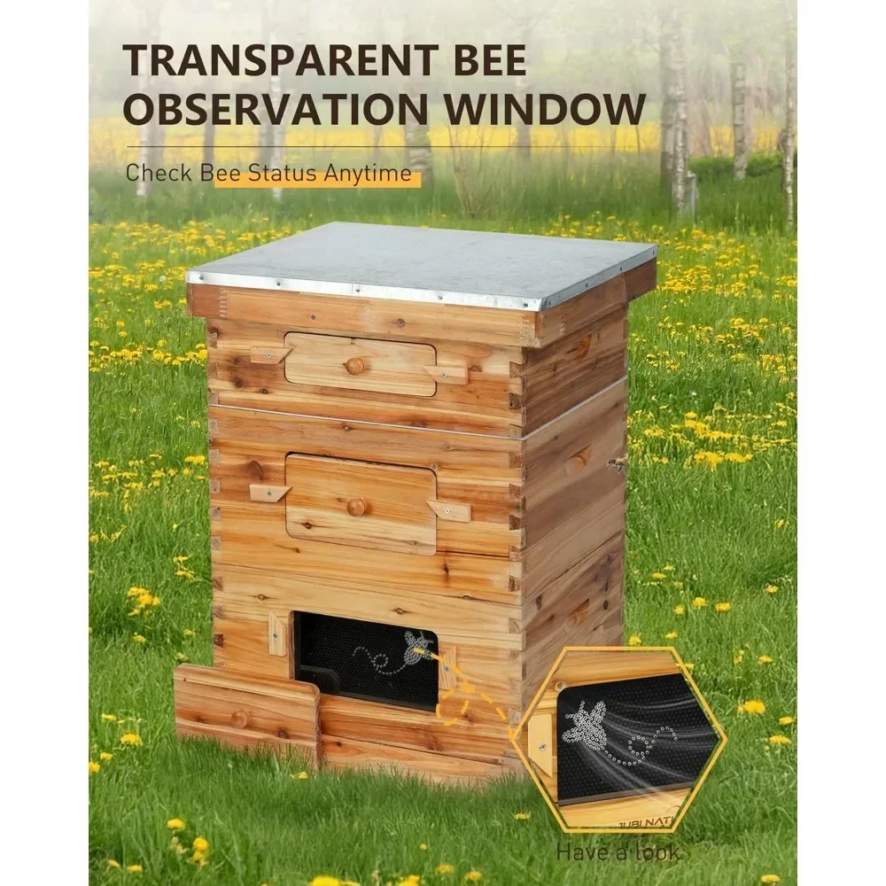 10 Frame Bee Box Starter Kit, 2 Deep + 1 Medium Langstroth Beehive Kit with Transparent Plastic Window and Queen Excluder