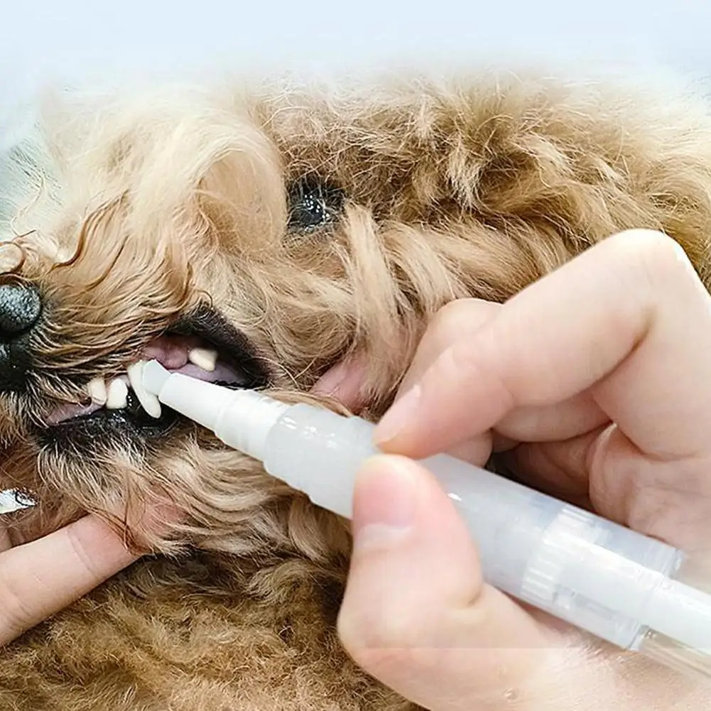 Pet Oral Repair Gel Pet Toothbrush Pen Teeth Cleaning Tool Oothbrush Toothpaste All-in-One Teeth Cleaning For Dogs And Cats
