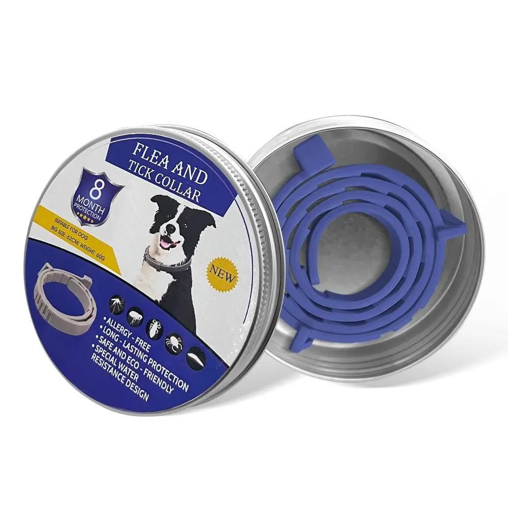 Dog Blue