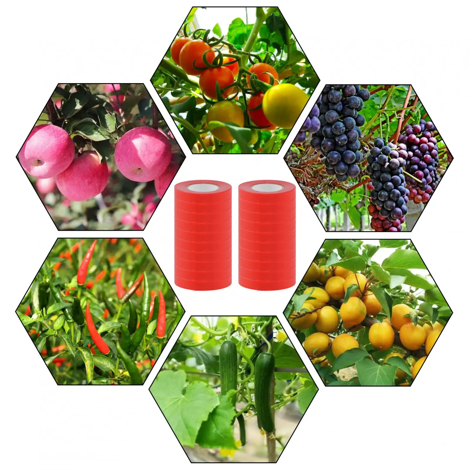 포도 라즈베리 토마토와 야채용 식물 결속기 테이프 도구, 플라스틱 테이프, 정원 도구, 20 개