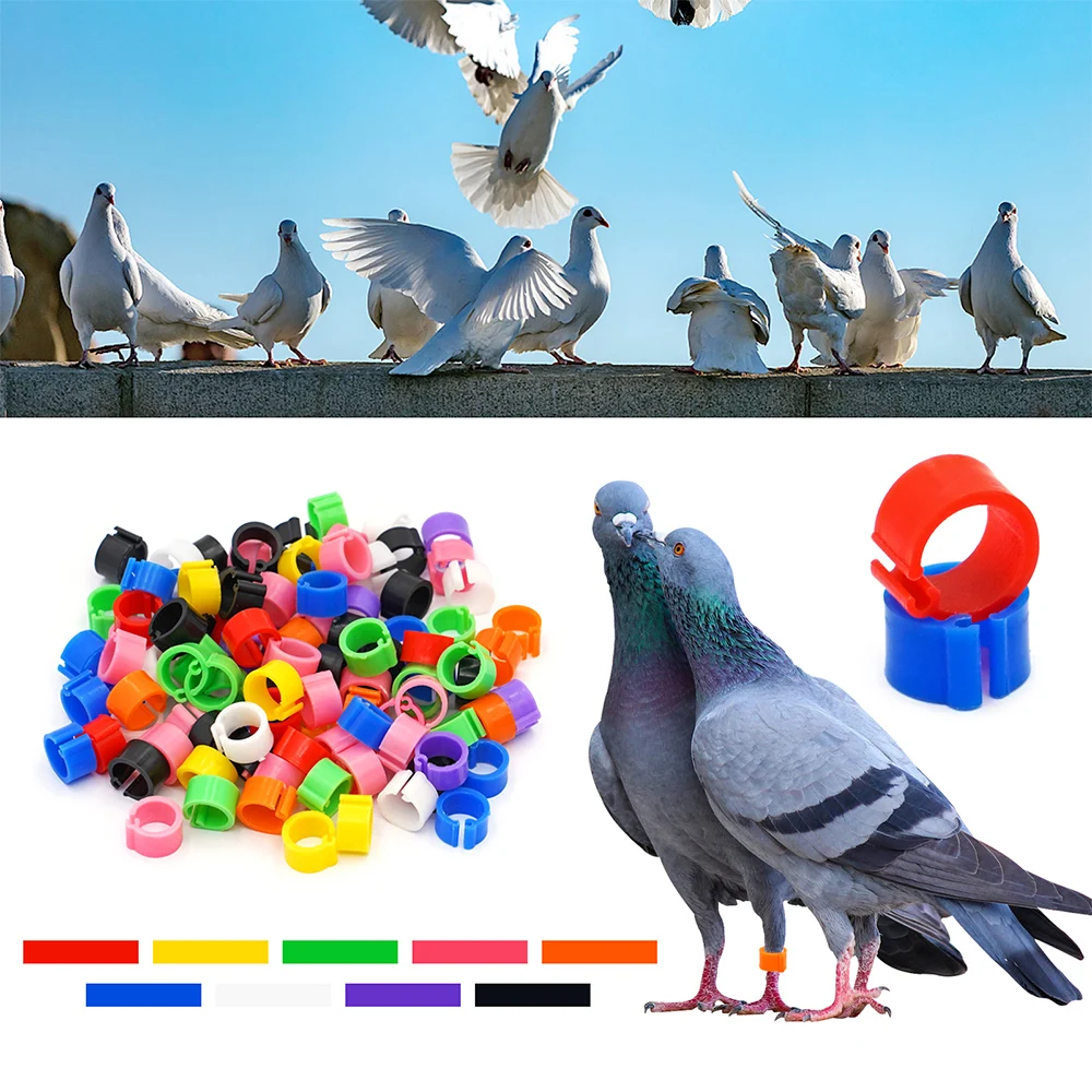 Bird Rings 100 Pcs Pigeons Identification Ring Opening Foot Appliances