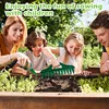 12 Holes Seed-In Soil Planter Garden Seed Spacer With Adjustable Seeds Dispenser For Planting Seeds And Bulbs B 5