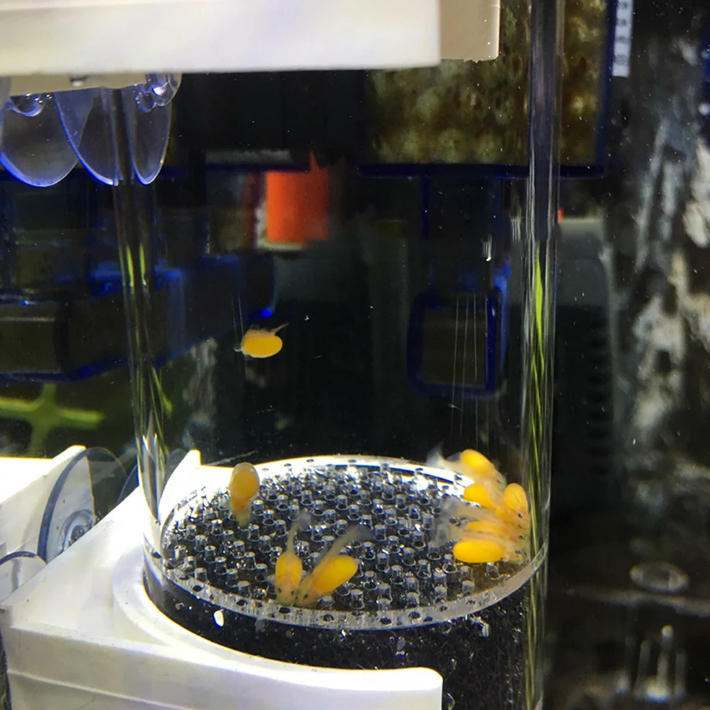 40mm Tumbler Incubator Fish Hatchery Mouth-Brooding Aquarium Cichlid Tumbler Fish Egg Instead Mouth Brooding Accessory fish aquarium fish breeding box