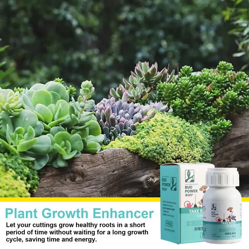 Liquid Rooting Stimulator 50ml Liquid Root Growth Booster Plant Growth Enhancer For Succulents Flowers Root Stimulator