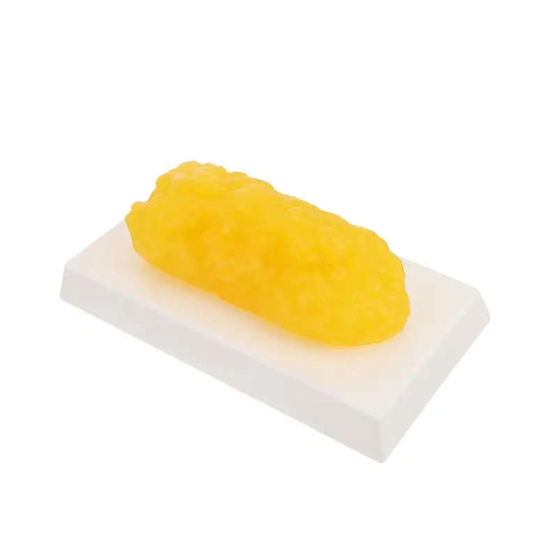 human-body-fat-replica-1-pound-fat-model-fat-anatomical-fat-model-for