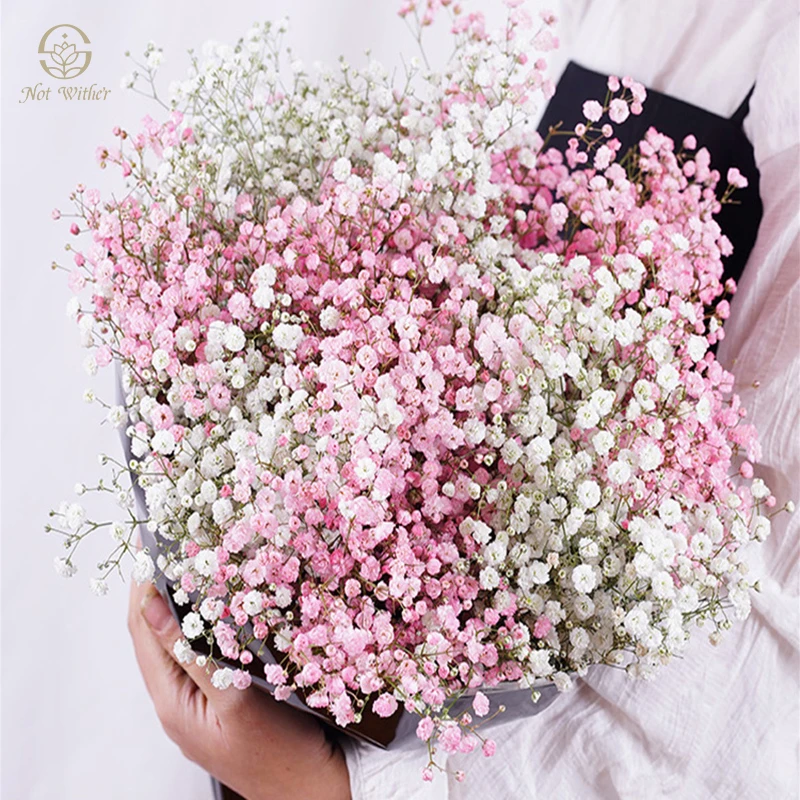 100g Dried Flowers Gypsophila Wedding Decoration Bridal Bouquets Baby