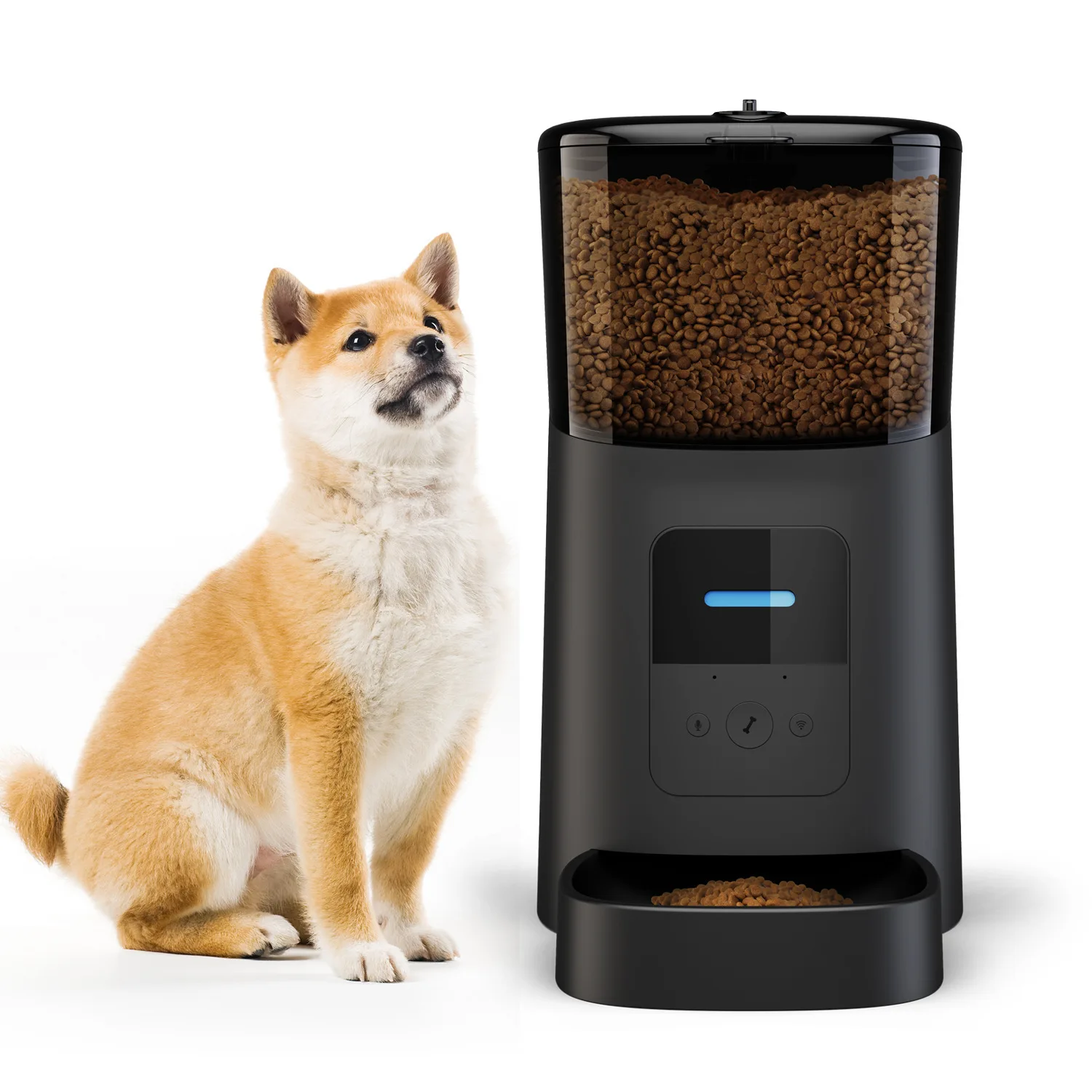 

New Pet supplies automatic feeder APP remote feed timing pet feeder