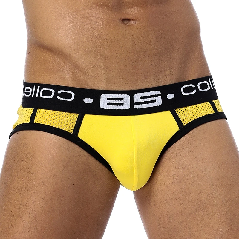 Men Underwear Briefs Qucik Dry convex breathable mesh Penis pouch slip homme Cotton sexy cuecas gay men Briefs ORLVS brand men underwear