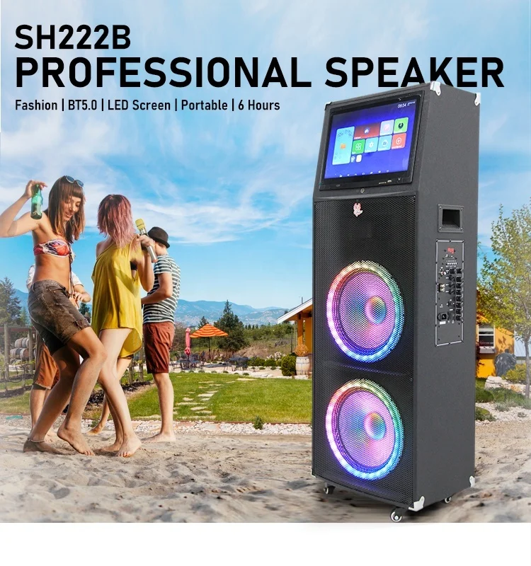 Dual 12-inch Subwoofer High-power LED Speaker Built-in 6A